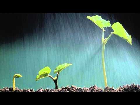 Ricardo Miguel - 18 c/Letra