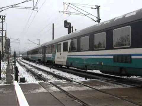 Thello desheuré à Arc et Senans