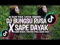 DJ BUNGSU RUSA X SAPE DAYAK VIRAL TIKTOK TERBARU 2025 ️
