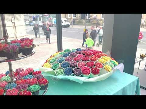 Bibi's Bakery Edinburgh - The CUTEST Cupcakes!