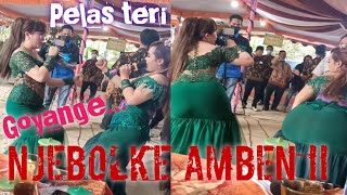Download lagu Pelas teri, goyange njebolke amben bosku... mp3 Download lagu Pelas teri, goyange njebolke amben bosku... mp3