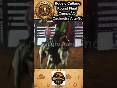 RODEIO CUTIANO ROUND FINAL CAMPEÃO CACHOEIRA ALTA-GO Helberth Oliveira de Souza CAMPEÃO no CUTIANO