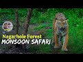 Kabini Forest Safari In Monsoon Nagarhole National Park Karnataka English 4K