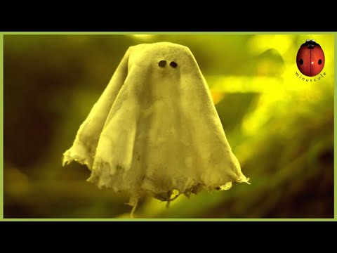 The Monster Of The Haunted Swamp 🎃 Minuscule 🍃 75' Compilation