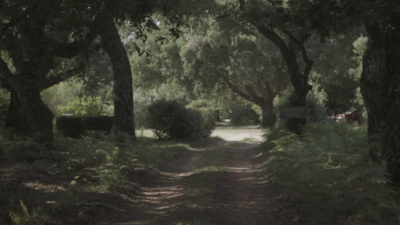 Bande-annonce I DÉSIR D'UNE ILE de Laetitia Farkas