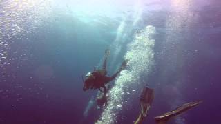 Negative entry at reggies, tofo