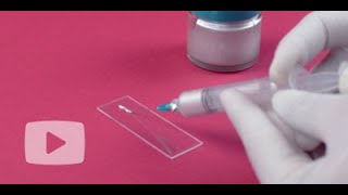 EP4S-80: One Part, Silver Filled Epoxy for EMI/RFI Shielding