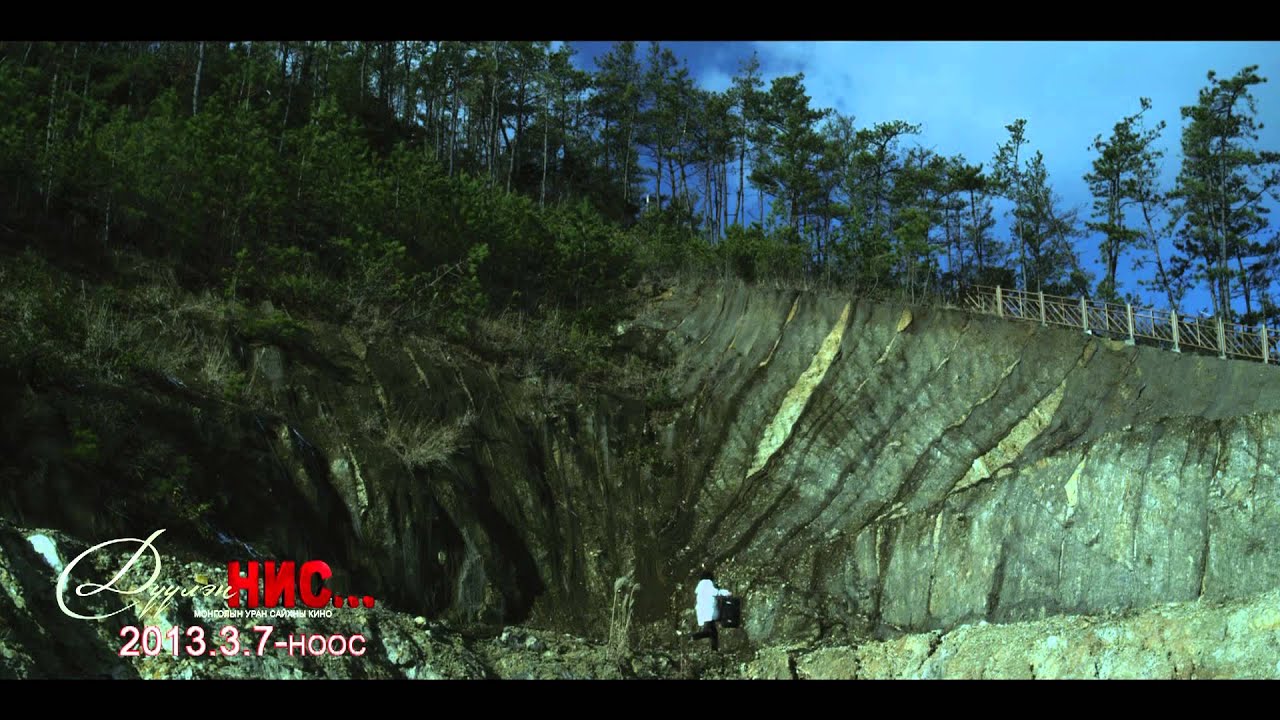 DOZ duulen nis reklam