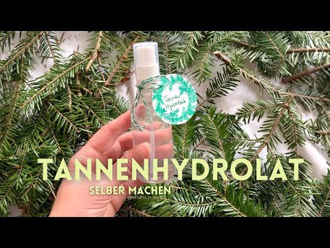 Natürlicher Tannenduftspray | Tannenhydrolat ohne Destille selbst gemacht