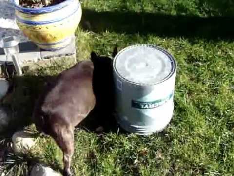 Les ptits travaux de Miss CloClo