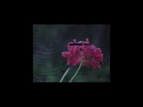 DonDon - Weit/Weg (slowed + reverb to perfection)