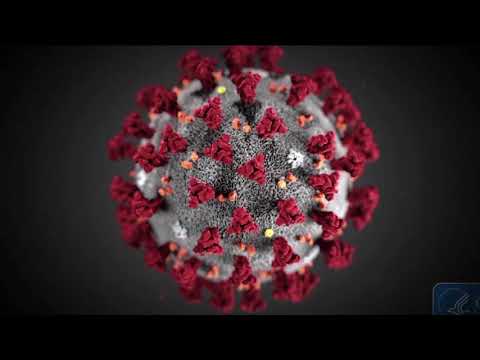 NY Drive Thru Testing