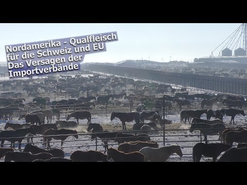 , title : 'Pferde-Qualfleisch aus Nordamerika | 2019'