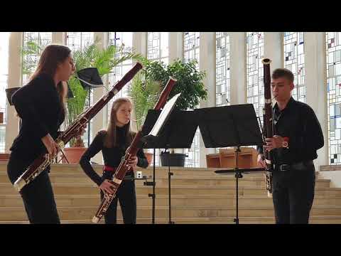 Allan Stephenson, trio for three bassoons, mit Timon Pannen FaGott