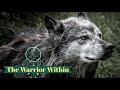 The Warrior Within Docuseries Part 4 Madeline S Journey Side A
