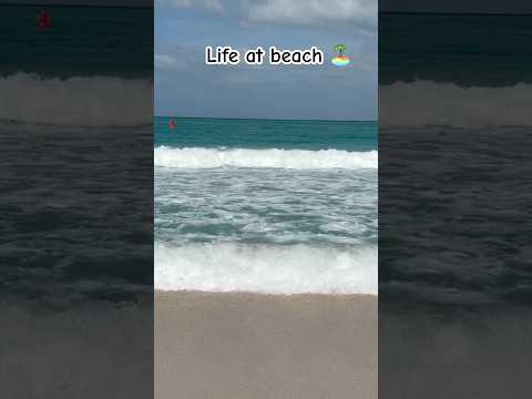 Beach life🩷 #bollywood #love #trending #travel #beautifulpalace #nature #shorts #viral #reels
