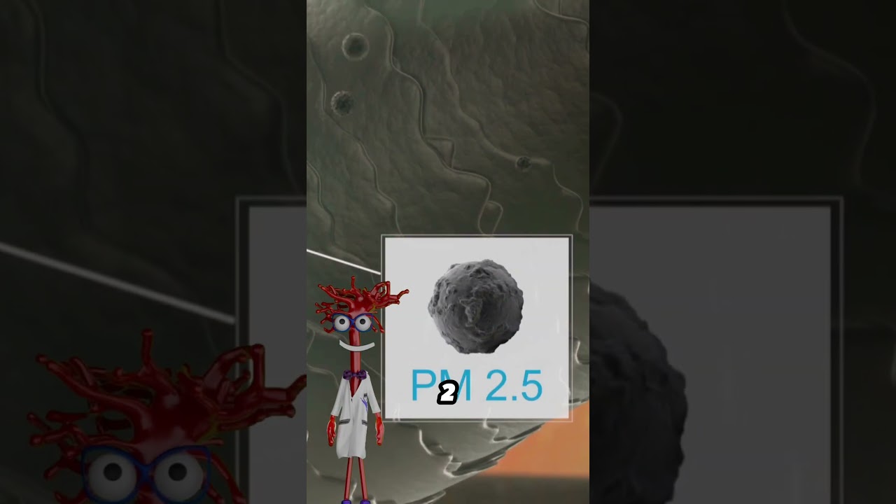 WHAT IS PM25?  #angiogenesis #biology #drwilliamli #drangio