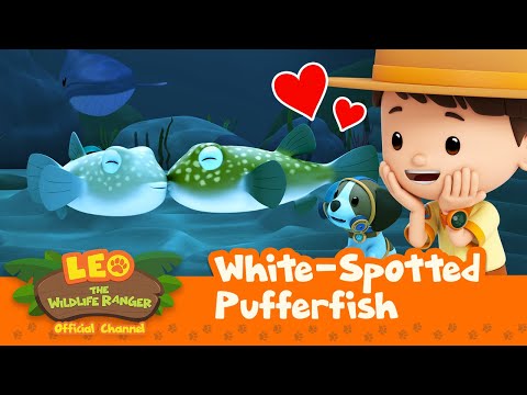 Witness21  2023 04 15