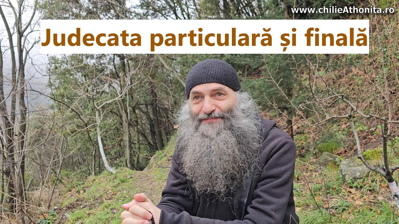 Judecata particulară și finală - p. Pimen Vlad