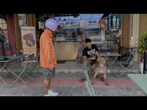 BABY ANAK MUSSO DI BATAM TERKAM ORANG YANG  PAKE HELM ‼️