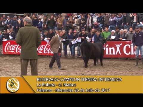 26-07-17 Jura Angus Terneras Intermedias - Palermo 2017.