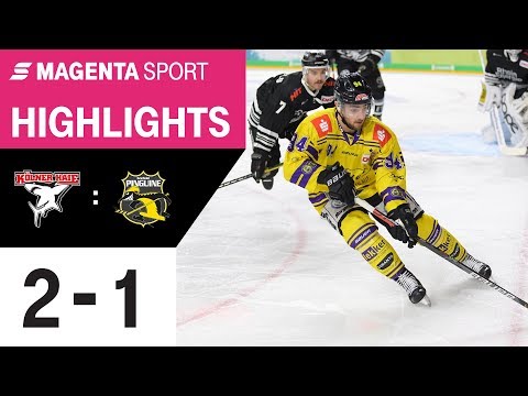 Kölner Haie - Krefeld Pinguine | 21. Spieltag, 19/20 | MAGENTA SPORT
