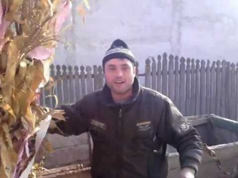 Plugusorul Glodeanu Sarat 2012 Vasilee