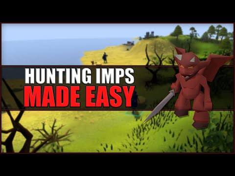 Quick Guide to Hunting Imps in OSRS | How To Get Imp in a Box | Hunter Guide