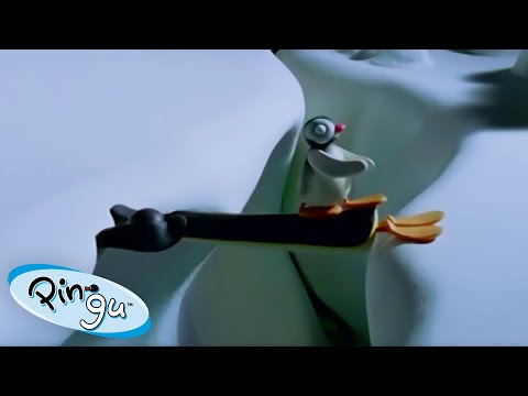 Pingu to the Rescue! π§ | Pingu β Official Channel | Cartoons For Kids - Kids (0-4), Kingdom Kids Zone - Pingu - Official Channel