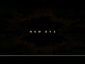 MGM DVD Logo LQ Recorded Audio