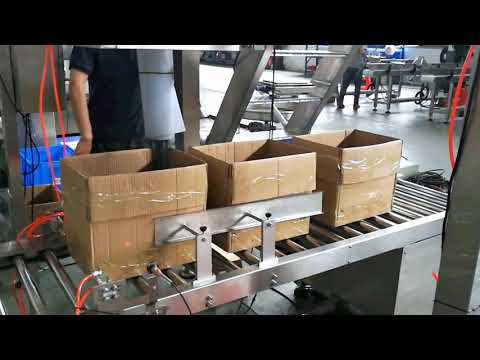 10kg weight linear weigher carton filling machine