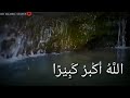 EID TAKBEER WhatsApp Status WhatsApp Status HD HD ISLAMIC STATUS