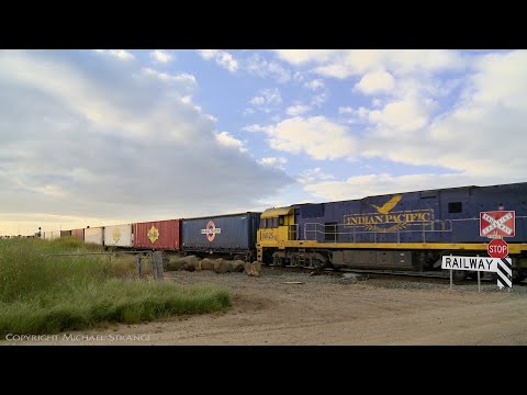 4PM6 Pacific National Freight Train With NR25 "Indian Pacific" (7/11/2020) - PoathTV Railways