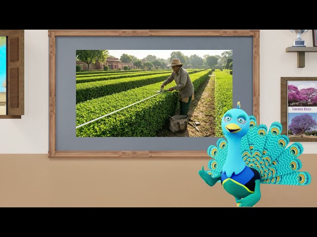 thumbnail of the course