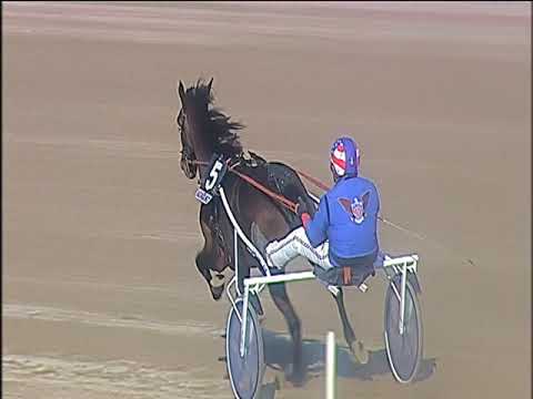 Trotto 21/01/2020 - 1ª corsa