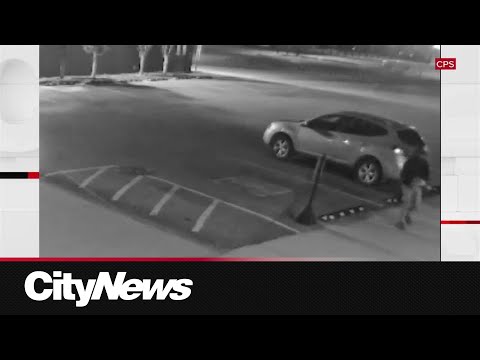 Calgary police investigating vandalism, partial theft of religious sculpture