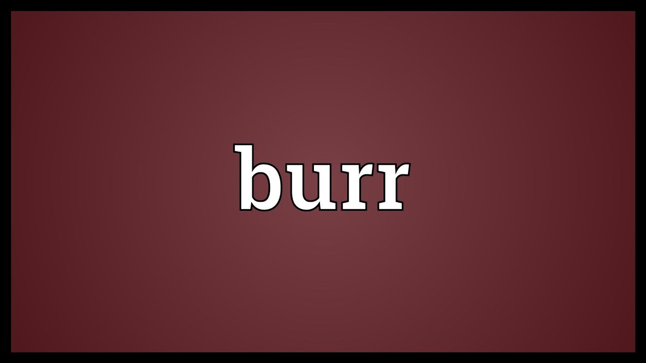 What does Burr mean? Tipseri
