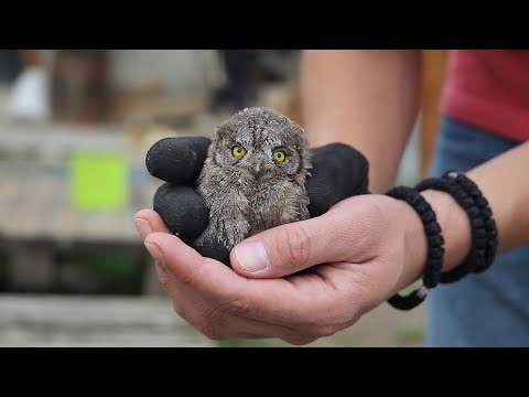 "Zoo planet" iz Niša zbrinuo 5.500 životinja, medju njima i uplakanog magarca