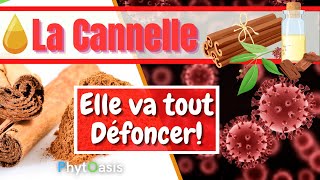 Les Bienfaits de Huile Essentielle de Cannelle de Ceylan: Comment l'utiliser faites bien attention!