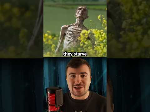 The Dumbest Zombie Movie Ever Made..