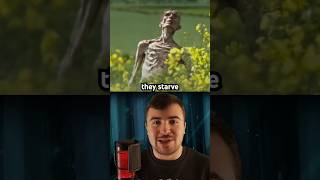 The Dumbest Zombie Movie Ever Made..