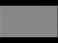 Very Long White Screen Of Death And Moaning Sound On My American Tail 1987 VHS Version 1