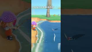 【あつ森】こんなこともあるのか… #Shorts