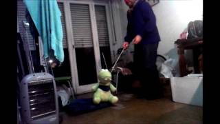 Mi cocodrilo verde - Ensayo Clown de Rodrigo Morhain