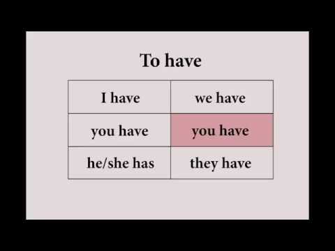 Engleza Lui Thomas Lecția 7 - To Have (Continued)