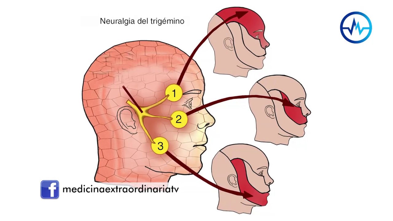 Camilo Contreras Campana-15