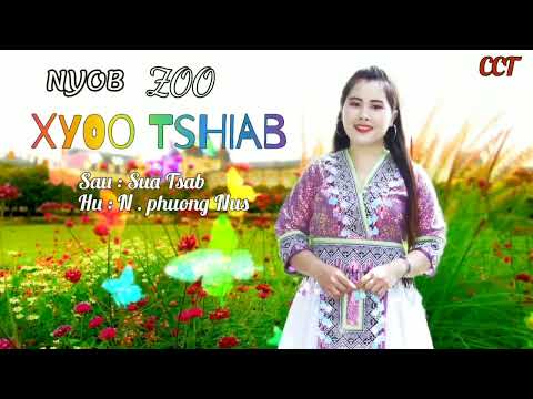 Nyob Zoo Xyoo Tshiab-nkauj ntseeg tawm tshiab (N.PhoungNus)(copyright: ChichiaThao) 2023-24