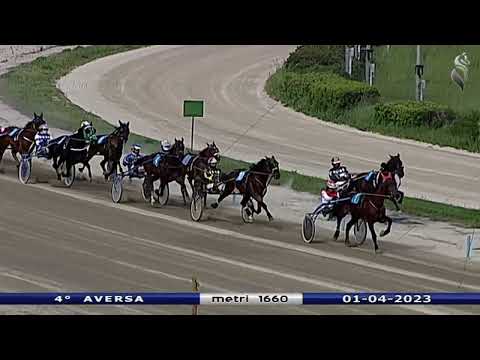 Aversa trotto 1 Aprile 2023 - 4° Corsa