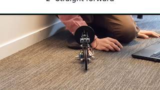 Motorcycle Maneuvers