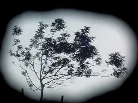 Powel - I Don't Waste My Tears On You [Wunderbar Recordings]